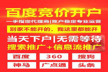网站sem托管服务提供商的成功案例分析
